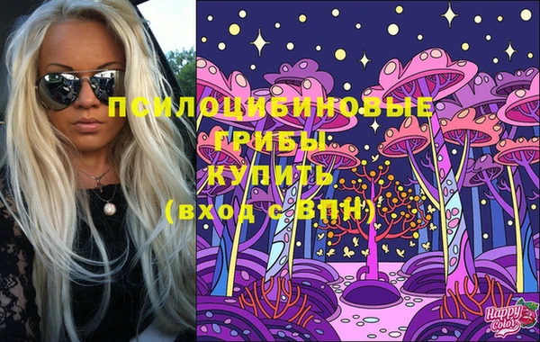 прущий лед Белокуриха