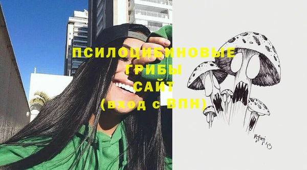 прущий лед Белокуриха